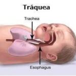 SALUD Y EDUCACIÓN: Todos los bebés deben dormir en posición supina (boca arriba)