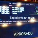 *Diputados aprobó el proyecto de ley que promueve la adopción*
