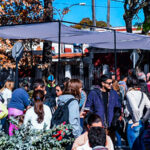 GUSTAVO BORDET: 160.000 turistas recibió la Provincia de Entre Rios