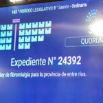 *Diputados sancionó la Ley de Fibromialgia*