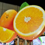 *CONCORDIA: LA FIESTA DE LA CITRICULTURA*