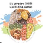 Alimentos potenciadores y dañinos para tu cerebro