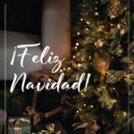 Fabián Monzon: Feliz Navidad a todos los trabajadores entrerrianos