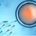 Nació el primer bebé del mundo concebido con un nuevo método de fertilidad desarrollado por científicos argentinos