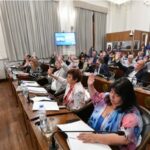 CÁMARA DE SENADORES | Repudiamos las agresiones de género del diputado Hein hacia Laura Stratta