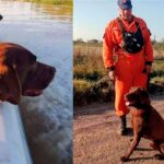 Otra muerte que genera misterio en torno a la búsqueda de Loan es Nerón el perro que rastreó los vehículos de Caillava y Perez