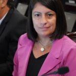 CÁMARA DE DIPUTADOS: ESTE MIÉRCOLES COMIENZA A TRATARSE EL PROYECTO DE LEY DE REITERANCIA DELICTIVA 