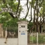 Diputada peronista propuso fomentar la participación privada para fortalecer la educación pública