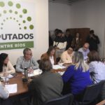 DIPUTADOS: Discapacidad. Iniciativas legislativas para fotalecer la inclusión
