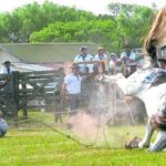 VICTORIA: Denuncia penal por crueldad animal: un caballo muerto en una pialada vuelve a encender la polémica