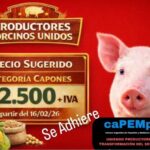 PROBLEMÁTICA DEL PEQUEÑO PRODUCTOR PORCINO
