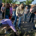 Plantamos Futuro: el Municipio de Paraná realiza nuevas plantaciones para fortalecer el arbolado urbano